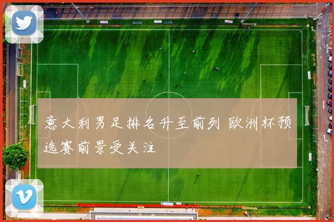 意大利男足排名升至前列 欧洲杯预选赛前景受关注